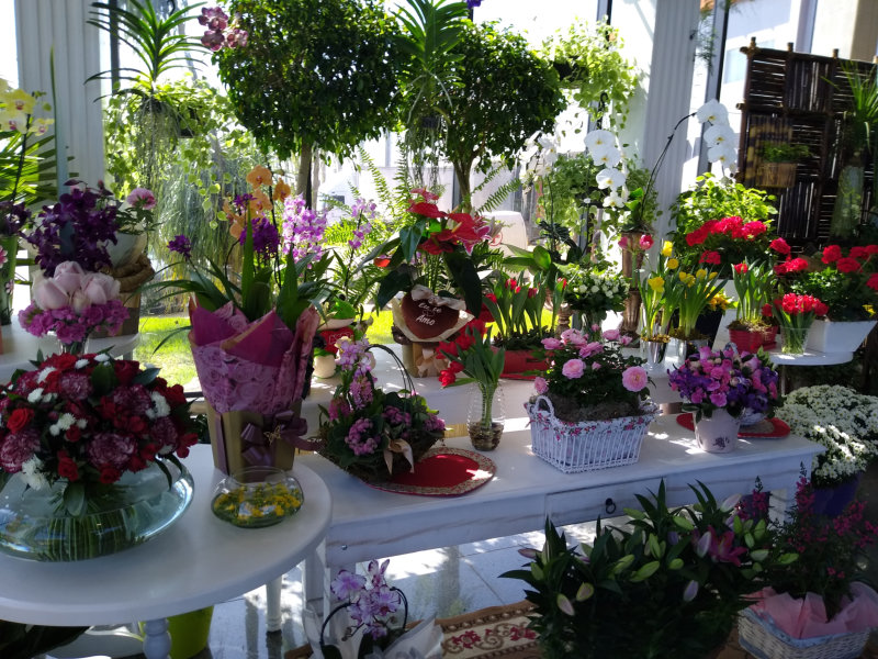 Mercado de flores do Brasil comemora chegada da primavera com previsão de 7% de crescimento